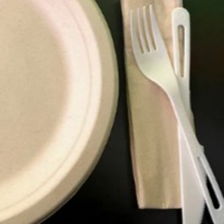 Disposable Utensils, Plate, Napkins for 10 set.
